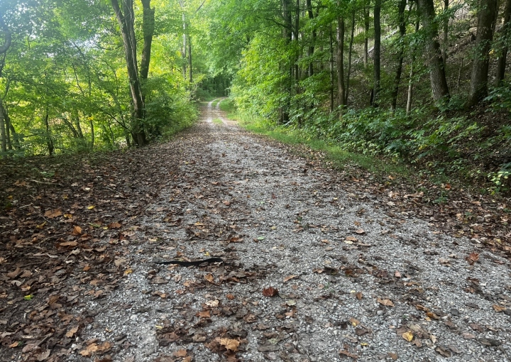 Snake Road